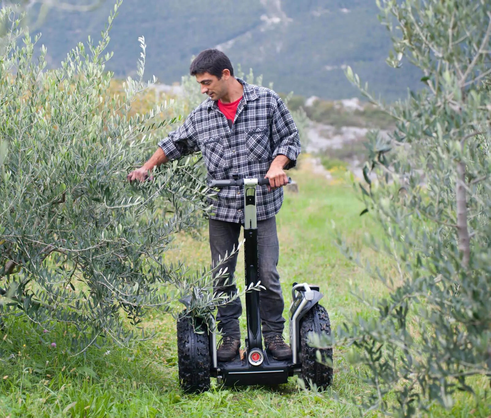 Homme utilisant un gyropode Segway X2 SE dans une oliveraie